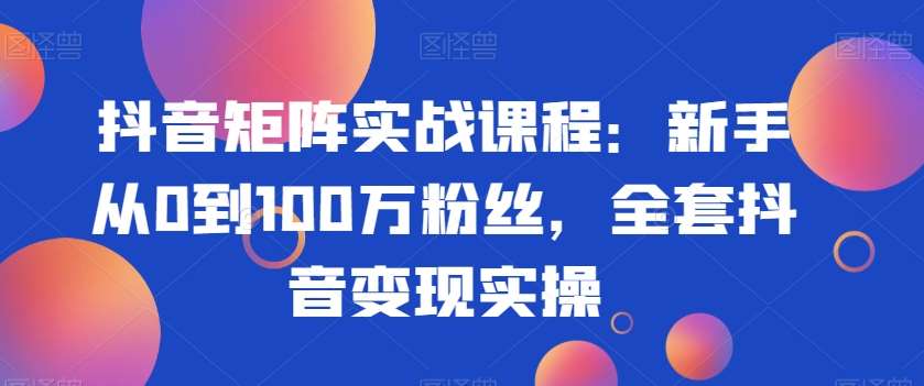 抖音矩阵实战课程：新手从0到100万粉丝，全套抖音变现实操-赛德副业库