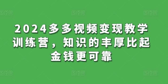 2024多多视频变现教学训练营，知识的丰厚比起金钱更可靠-赛德副业库