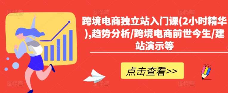 跨境电商独立站入门课(2小时精华),趋势分析/跨境电商前世今生/建站演示等-赛德副业库