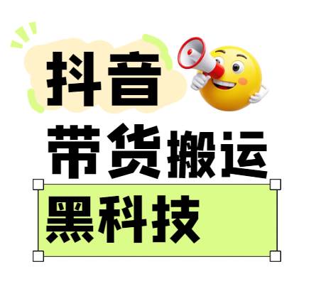 299买来抖音带货搬运技术,苹果安卓都可以,两分钟一个视频,不会封号!-赛德副业库