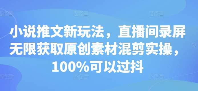 小说推文新玩法,直播间录屏无限获取原创素材混剪实操,100%可以过抖-赛德副业库