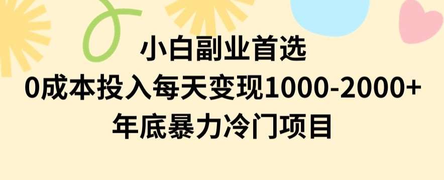 小白副业首选，0成本投入，每天变现1000-2000年底暴力冷门项目【揭秘】-赛德副业库