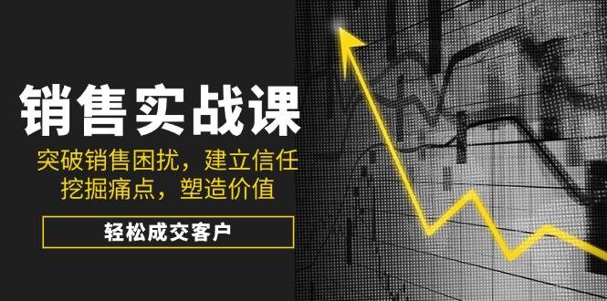 （14297期）销售实战课，突破销售困扰，建立信任，挖掘痛点，塑造价值，轻松成交客户-赛德副业库