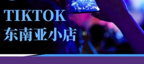 Tiktok东南亚跨境小店运营班，一门专业的TK小店运营培训课-赛德副业库