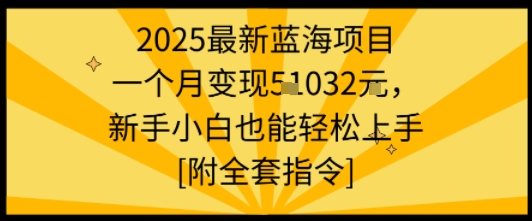 2025最新蓝海项目一个月变现1w+新手小白也能轻松上手【附全套指令】-赛德副业库