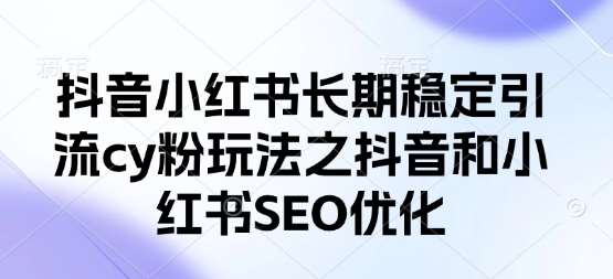 抖音小红书长期稳定引流cy粉玩法之抖音和小红书SEO优化-赛德副业库