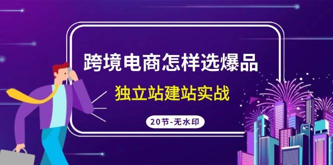 （9369期）跨境电商怎样选爆品，独立站建站实战（20节高清无水印课）-赛德副业库