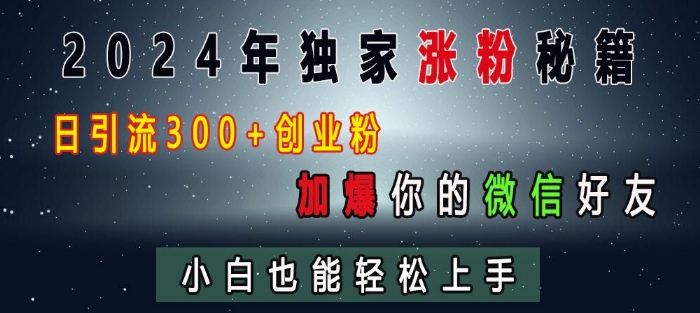 2024年独家涨粉秘籍，日引流300+创业粉，加爆你的微信好友，小白也能轻松上手-赛德副业库