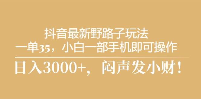 （10766期）抖音最新野路子玩法，一单35，小白一部手机即可操作，，日入3000+，闷…-赛德副业库