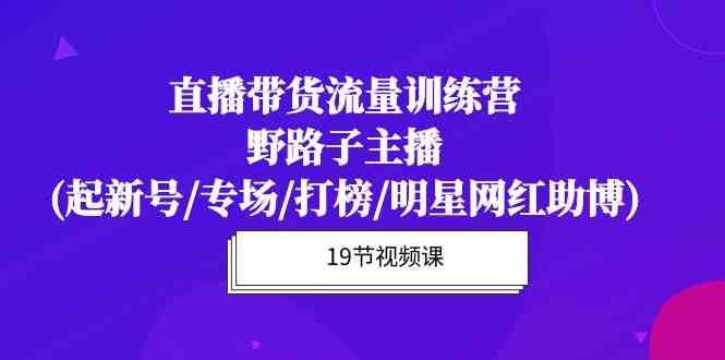直播带货流量特训营，野路子主播(起新号/专场/打榜/明星网红助博)-赛德副业库