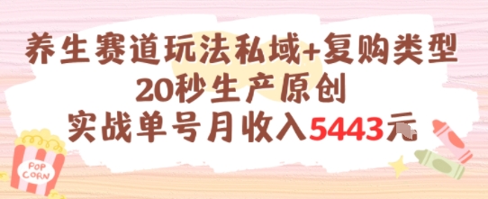 养生赛道玩法私域+复购类型，20秒生产原创实战单号月收入5k+-赛德副业库