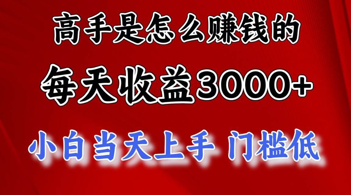 高手是怎么一天赚3000+的,小白当天上手,翻身项目,非常稳定。-赛德副业库