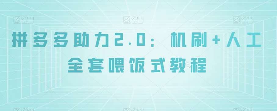 拼多多助力2.0：机刷+人工全套喂饭式教程【揭秘】-赛德副业库