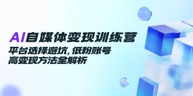 AI自媒体变现训练营,平台选择避坑,低粉账号高变现方法全解析-赛德副业库