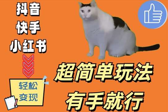 超简单玩法，有手就行，靠猫咪视频日入500+【揭秘】-赛德副业库
