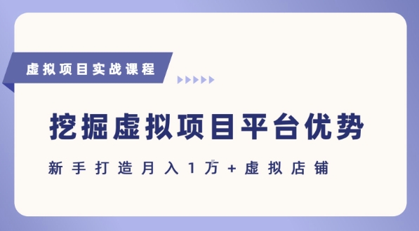 抓住虚拟项目各平台优势，新手轻松月入1W+(给出具体建议)-赛德副业库