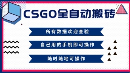 CSGO全自动搬砖，年底钱回家好项目，当天可拿到结果，新手小白轻松月入1W+【揭秘】-赛德副业库