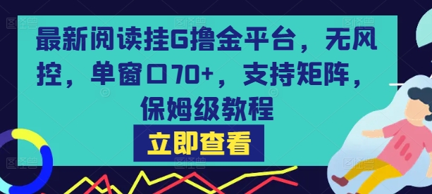 最新阅读挂G撸金平台,无风控,单窗口70+,支持矩阵,保姆级教程【揭秘】-赛德副业库