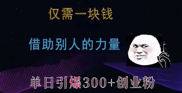 仅需一块钱,借助别人的力量,单日引爆300+创业粉、兼职粉【揭秘】-赛德副业库