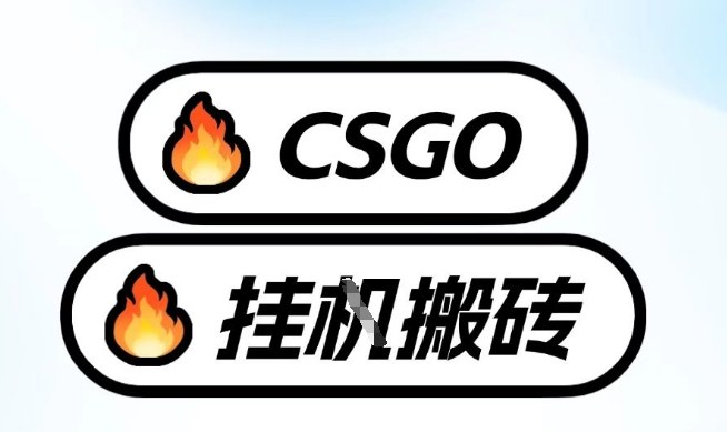 真全网独家CSGO挂G，最新玩法,单日捡漏1K+，不用电脑，不用打游戏【揭秘】-赛德副业库