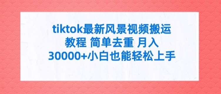 tiktok最新风景视频搬运教程 简单去重 月入3W+小白也能轻松上手【揭秘】-赛德副业库