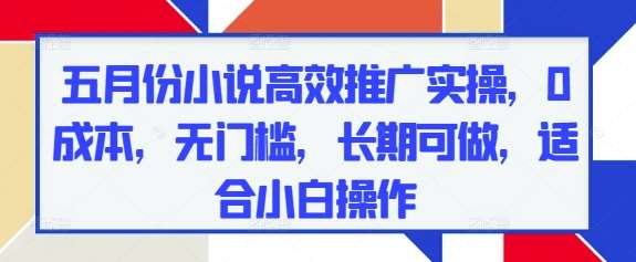 五月份小说高效推广实操,0成本,无门槛,长期可做,适合小白操作-赛德副业库