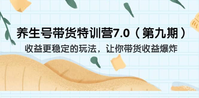 养生号带货特训营7.0(第九期)收益更稳定的玩法 让你带货收益爆炸(11节)-赛德副业库