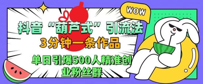 抖音葫芦式引流法，三分钟一条作品，单日引爆抖音500人精准创业粉丝群【揭秘】-赛德副业库