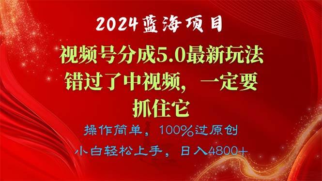 （11032期）2024蓝海项目，视频号分成计划5.0最新玩法，错过了中视频，一定要抓住…-赛德副业库