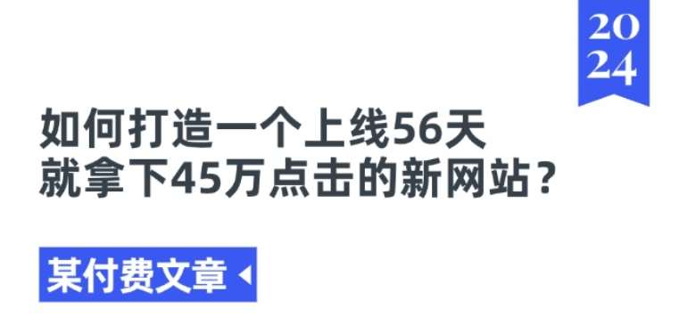 某付费文章《如何打造一个上线56天就拿下45万点击的新网站?》-赛德副业库