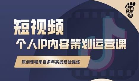 抖音短视频个人ip内容策划实操课,真正做到普通人也能实行落地-赛德副业库