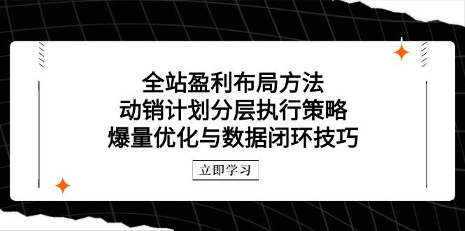 (14698期)全站盈利布局方法:动销计划分层执行策略,爆量优化与数据闭环技巧-赛德副业库