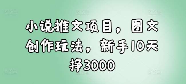 小说推文项目，图文创作玩法，新手10天挣3000-赛德副业库