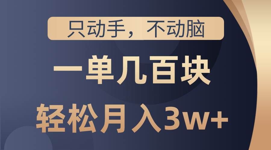 （10561期）只动手不动脑，一单几百块，轻松月入3w+，看完就能直接操作，详细教程-赛德副业库