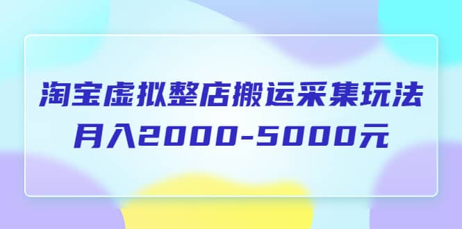 淘宝虚拟整店搬运采集玩法分享课：月入2000-5000元（5节课）-赛德副业库
