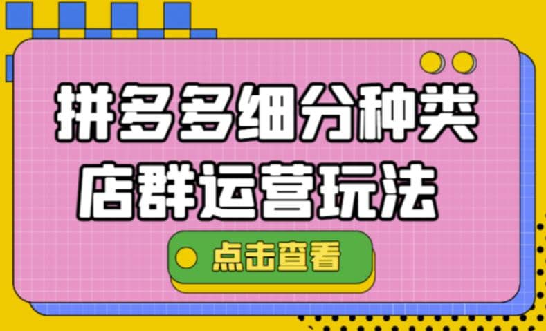 拼多多细分种类店群运营玩法3.0，11月最新玩法，小白也可以操作-赛德副业库