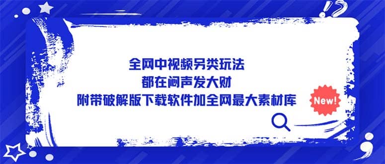 全网中视频另类玩法,都在闷声发大财,附带下载软件加全网最大素材库-赛德副业库
