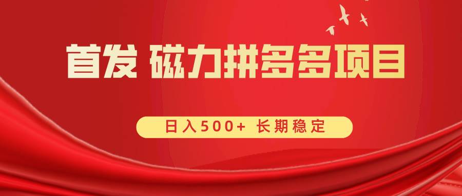 （8611期）首发 磁力拼多多自撸  日入500+-赛德副业库