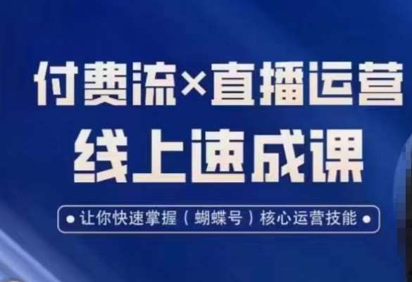 视频号付费流实操课程，付费流✖️直播运营速成课，让你快速掌握视频号核心运营技能-赛德副业库