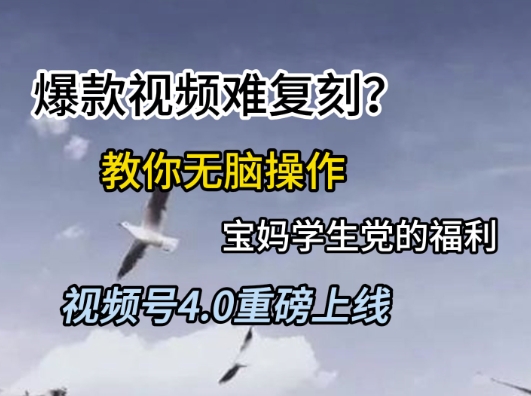 视频号4.0重磅上线，爆款视频难复刻？教你无脑操作宝妈学生党的福利【揭秘】-赛德副业库