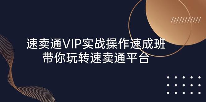 （10935期）速卖通 VIP实战操作-速成班，带你玩转速卖通平台（23节）-赛德副业库