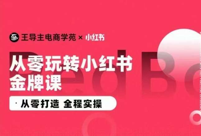 王导主·小红书电商运营实操课，​从零打造  全程实操-赛德副业库