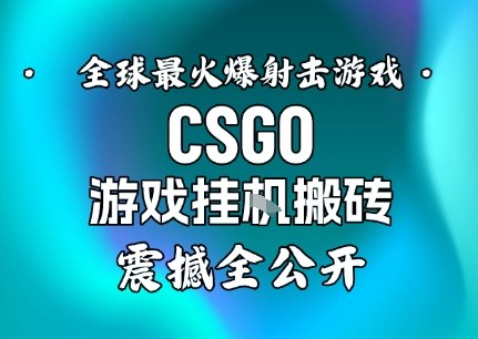 【年底大揭秘】基于全球最火爆的射击CSGO游戏挂G搬砖，日入5张+，震撼公开-赛德副业库