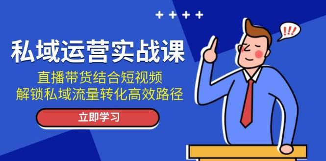 私域运营实战课：直播带货结合短视频，解锁私域流量转化高效路径-赛德副业库