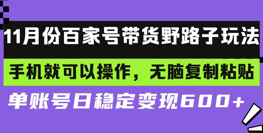 （13281期）百家号带货野路子玩法 手机就可以操作，无脑复制粘贴 单账号日稳定变现…-赛德副业库