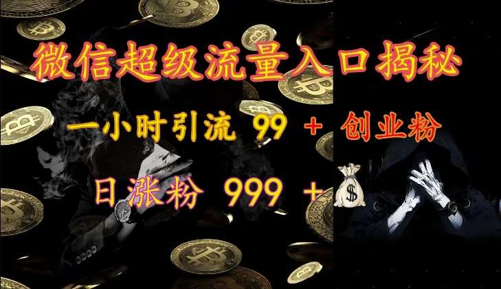 微信超级流量入口揭秘：一小时引流 99 + 创业粉，日涨粉 999 +-赛德副业库