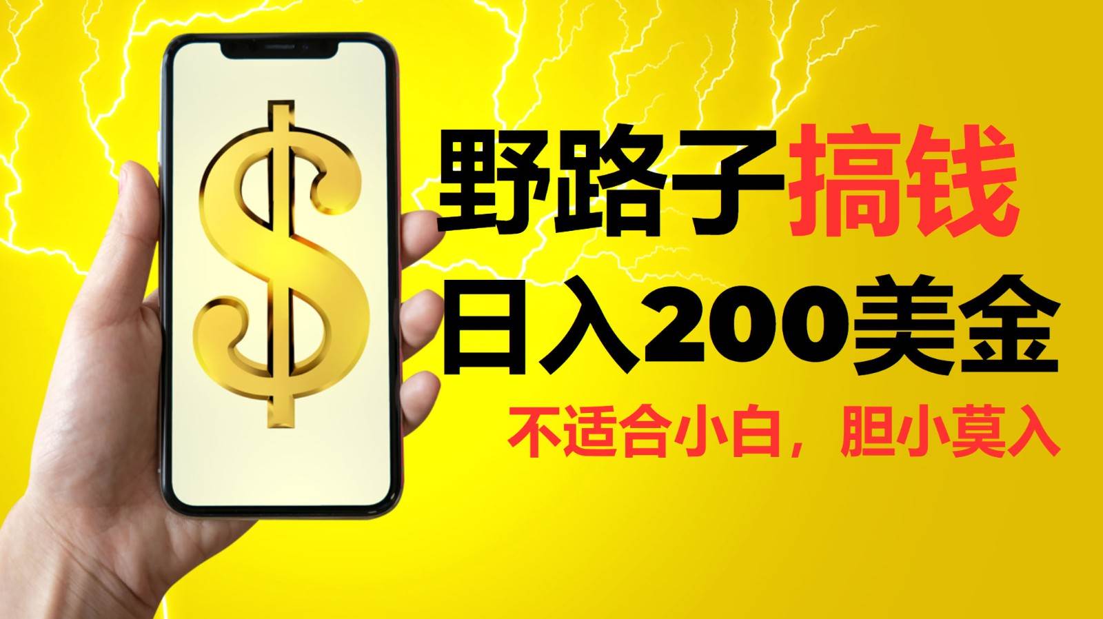 挂机野路子搞钱，日入200美金，路子很野，小白莫入-赛德副业库