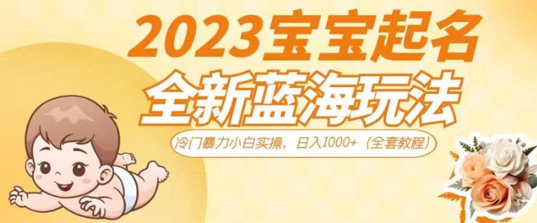 2023宝宝起名全新蓝海玩法，冷门暴力小白实操，日入1000+（全套教程）【揭秘】-赛德副业库