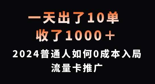 一天出了10单,收了1000+,2024普通人如何0成本入局流量卡推广【揭秘】-赛德副业库