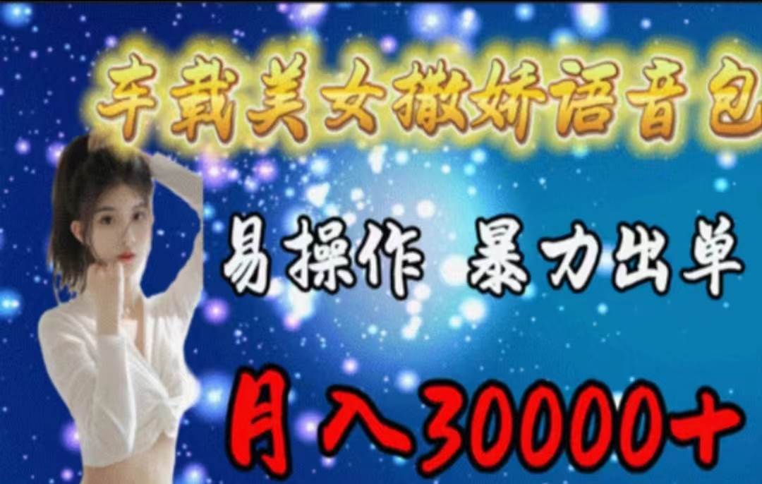 （11249期）车载美女撒娇语音包，执行就出单，月入3000＋，小白看完课程就能马上实操-赛德副业库
